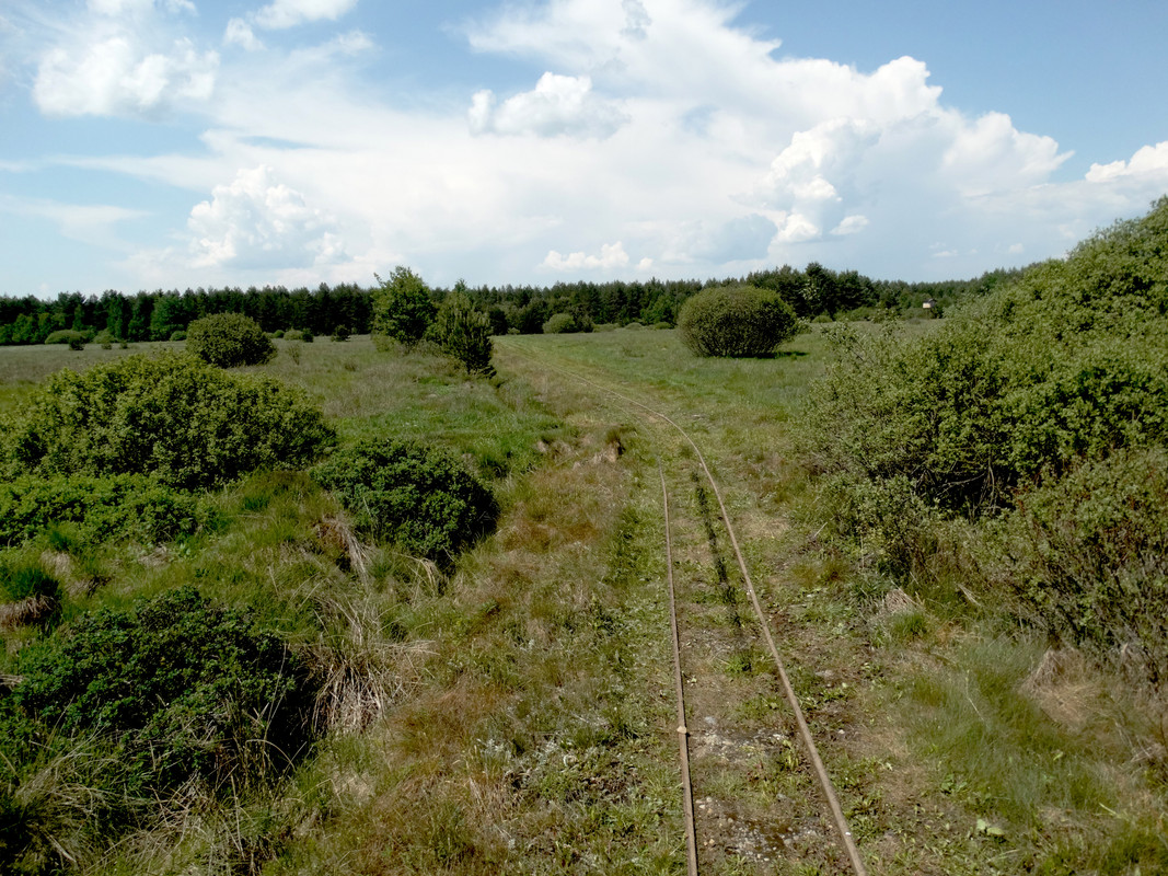 04.09 - DSC08091 (Czesio1)