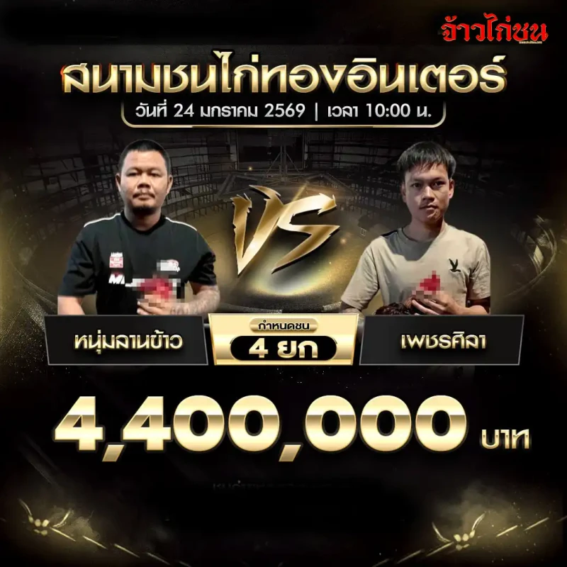 โปรแกรมไก่ชน หนุ่มลานข้าว พบ เพชรศิลา 4.4 ล้าน 4 ยก