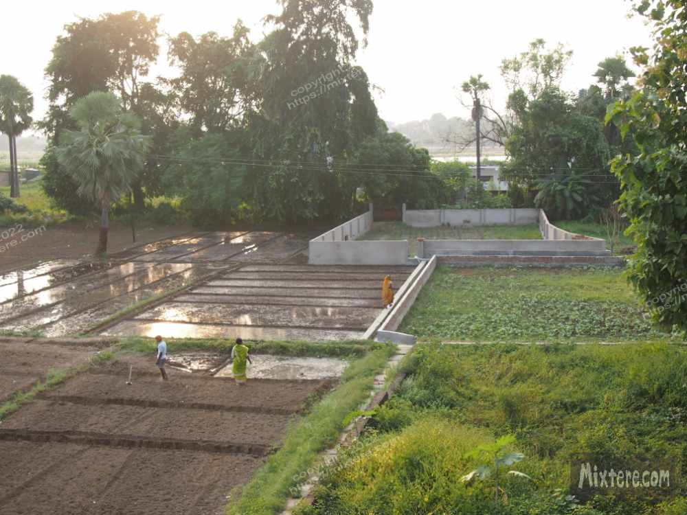 BBG&B6AroundTheGuesthousePics - 6