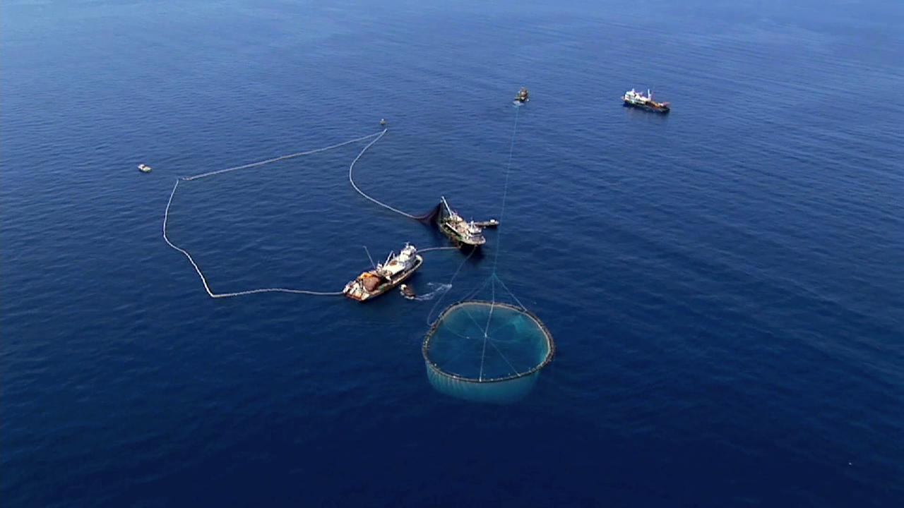 vlcsnap-2023-02-12-16h53m15s159