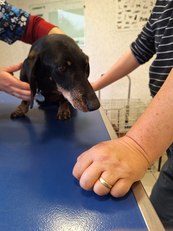 [Image: 20240419-173514.jpg]