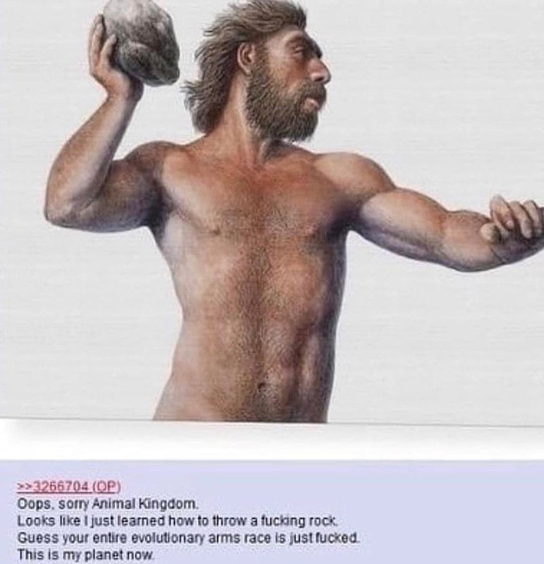 1664096951454346.jpg