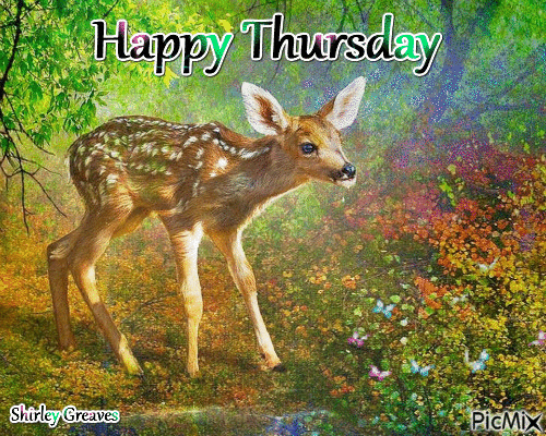 THURSDAY-jeudi-17