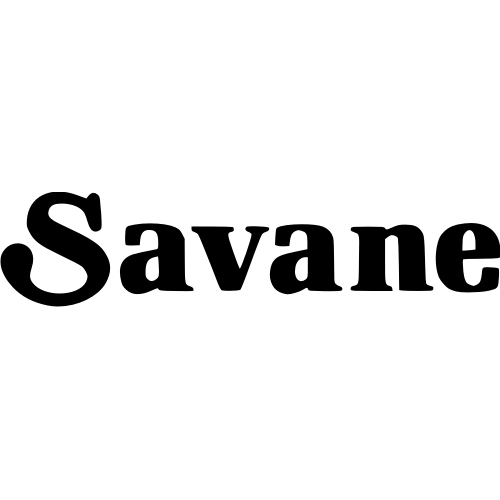 sticker-renault-4l-savane.jpg