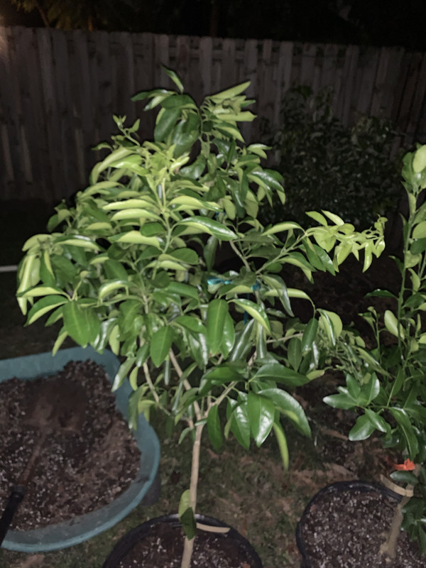 DDD37B12-99CF-4DA1-B886-16DADE47DE3B