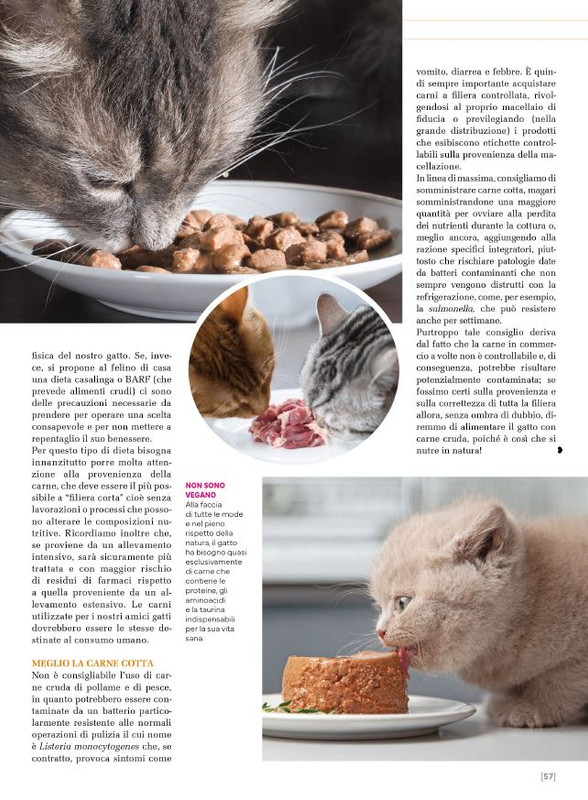 Ga Ma Ago-Set 2025 (10)