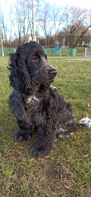 IMG-4a5b3254a886c5a5a9ccc1970be6dd18-V