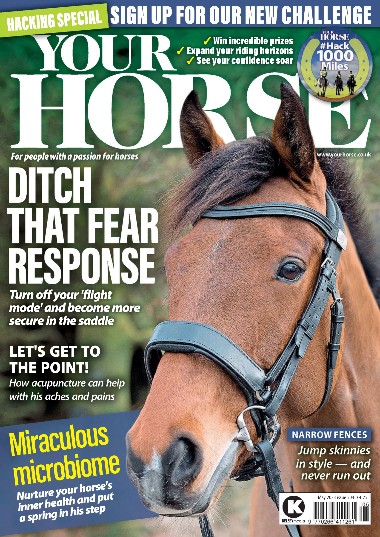 Your Horse - May / 2023