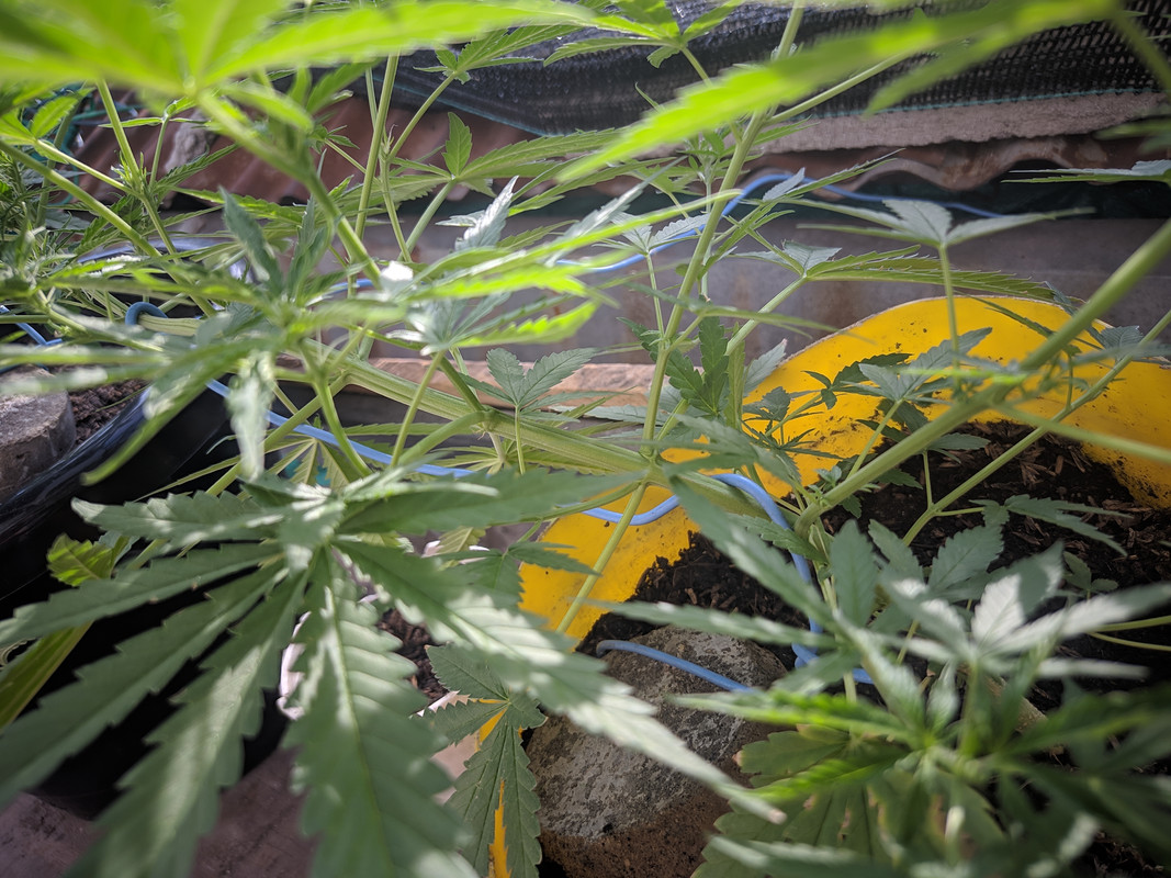 HC_20220925_155558_null