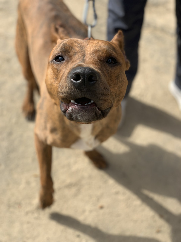 2934A2D5-0ABB-42A6-B859-73B3E1211C2C