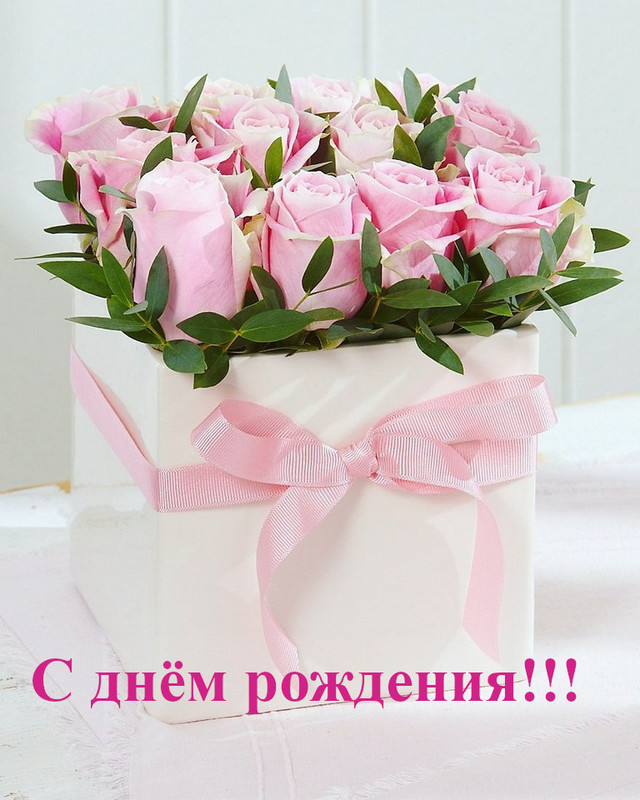 https://i.postimg.cc/sgm2vHcR/1796.jpg