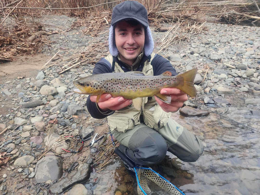 Facebook_creation_206025925