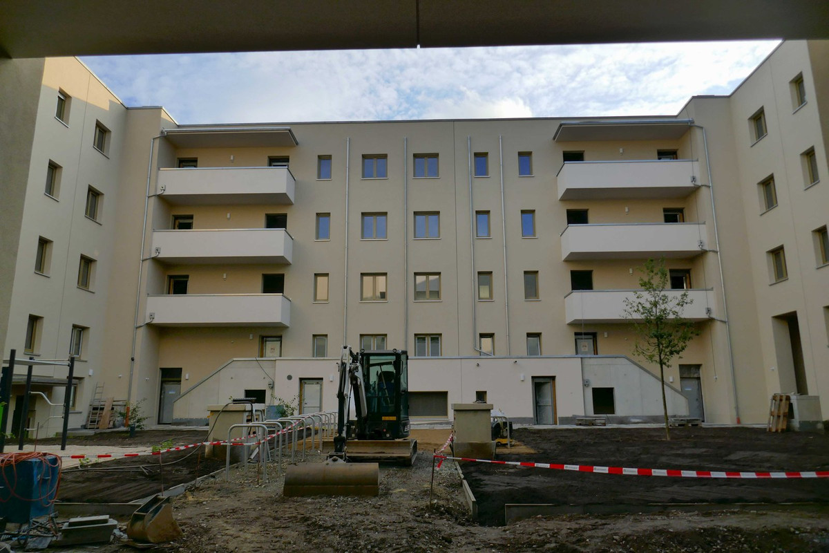 Bild: https://i.postimg.cc/sgm3mCjB/P1290871.jpg