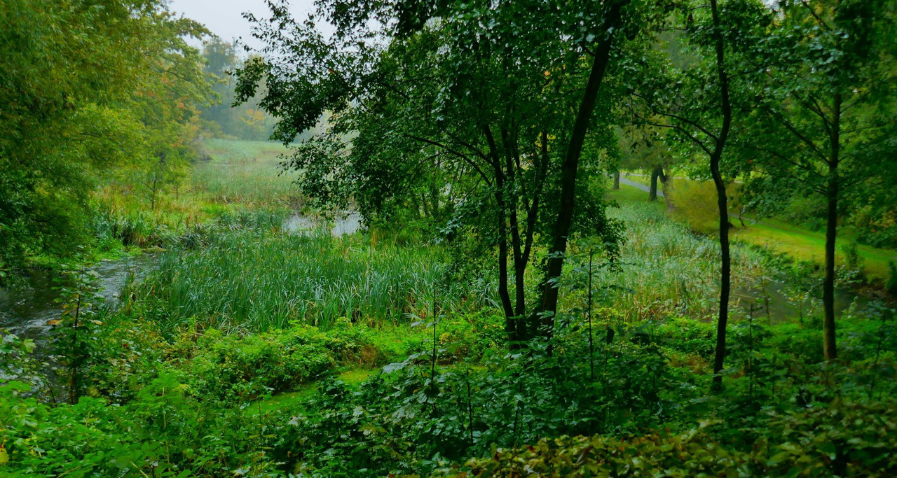 Bild: https://i.postimg.cc/sgm9LmRb/P1310260.jpg