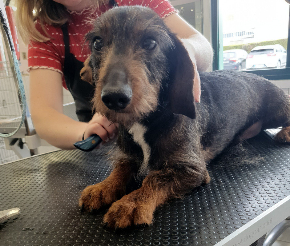 [Image: 20220512-214823.jpg]