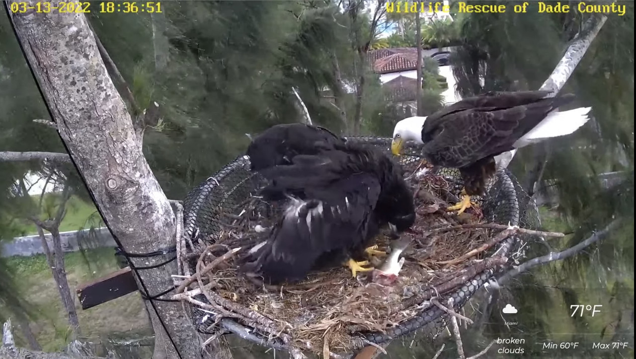 6335D0E1-C79E-4EF6-A994-D3B3F9D97070