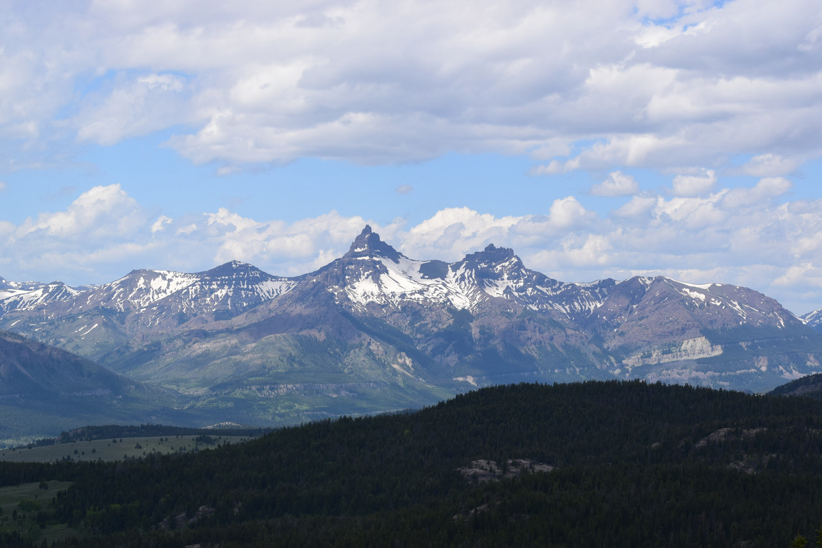 DSC_0348