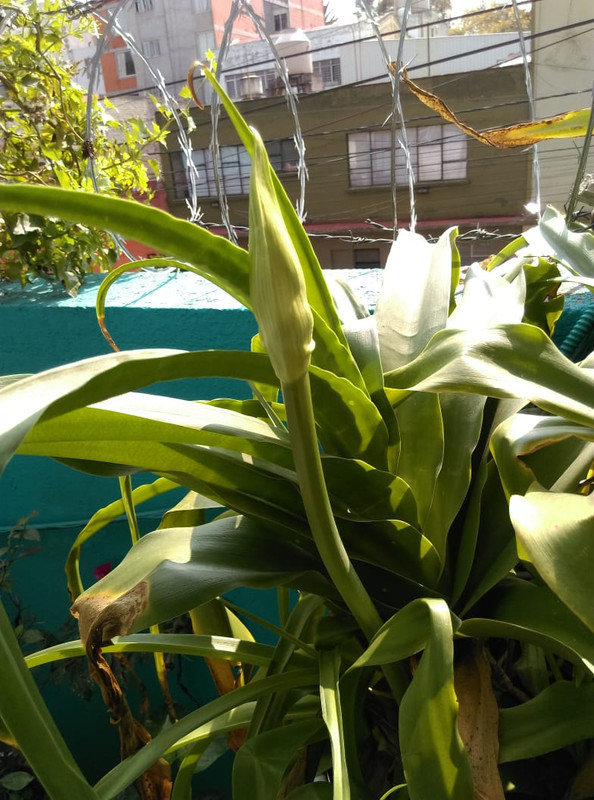 IMG-20191121-WA0012
