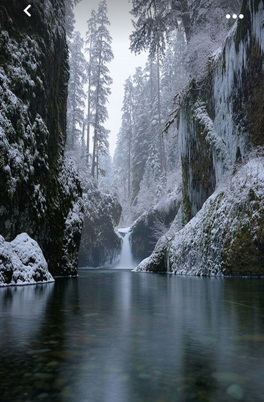 Screenshot_20231023_202410_Pinterest