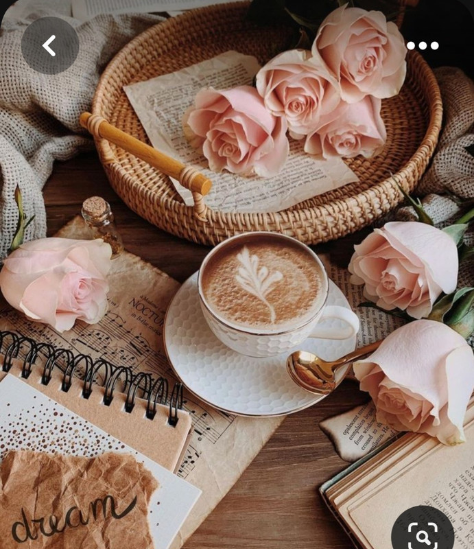 Screenshot_20230528_212515_Pinterest