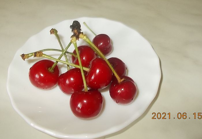 https://i.postimg.cc/sgnZYJnL/meggy-2021-06-15.jpg