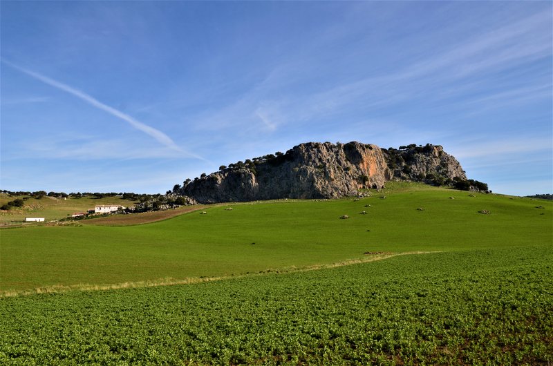 CADIZ Y SUS PUEBLOS-2017 - Blogs de España - SETENIL DE LAS BODEGAS-7-3-2017-CADIZ (1)