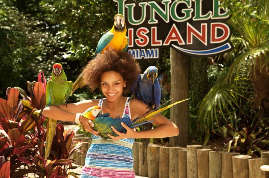 Парк Jungle Island Парк Jungle Island