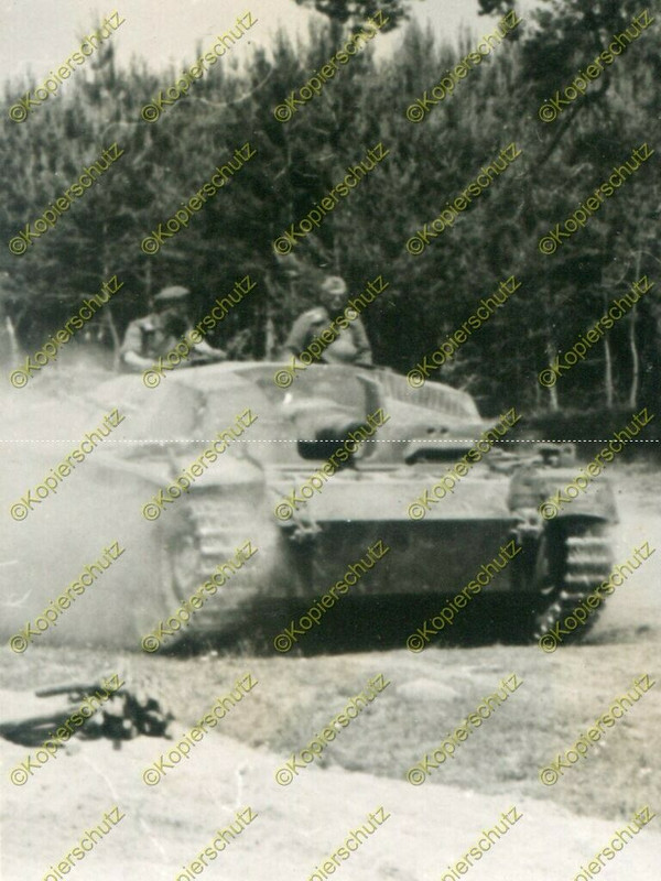 Foto, Wehrmacht, Stug, Sturmgeschütz im Vormarsch, Russland