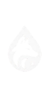 Lavify Logo
