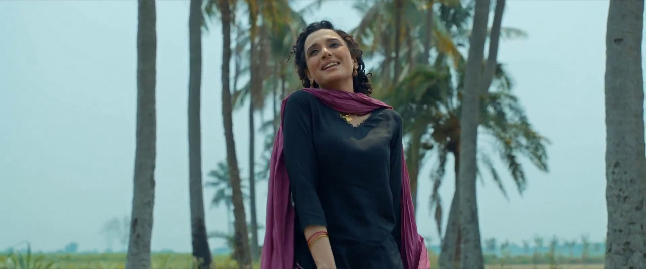 vlcsnap-2025-08-11-17h44m11s381