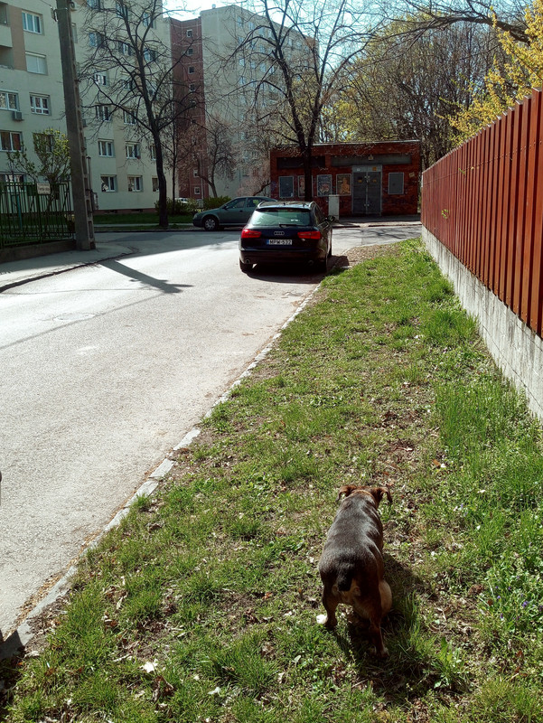 Kép
