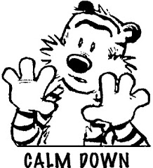 Calvin-Hobbs-Calm-Down.jpg