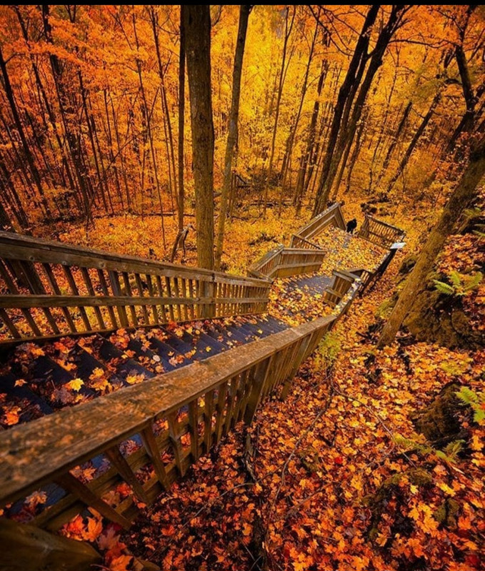 Screenshot_20231207_153724_Instagram