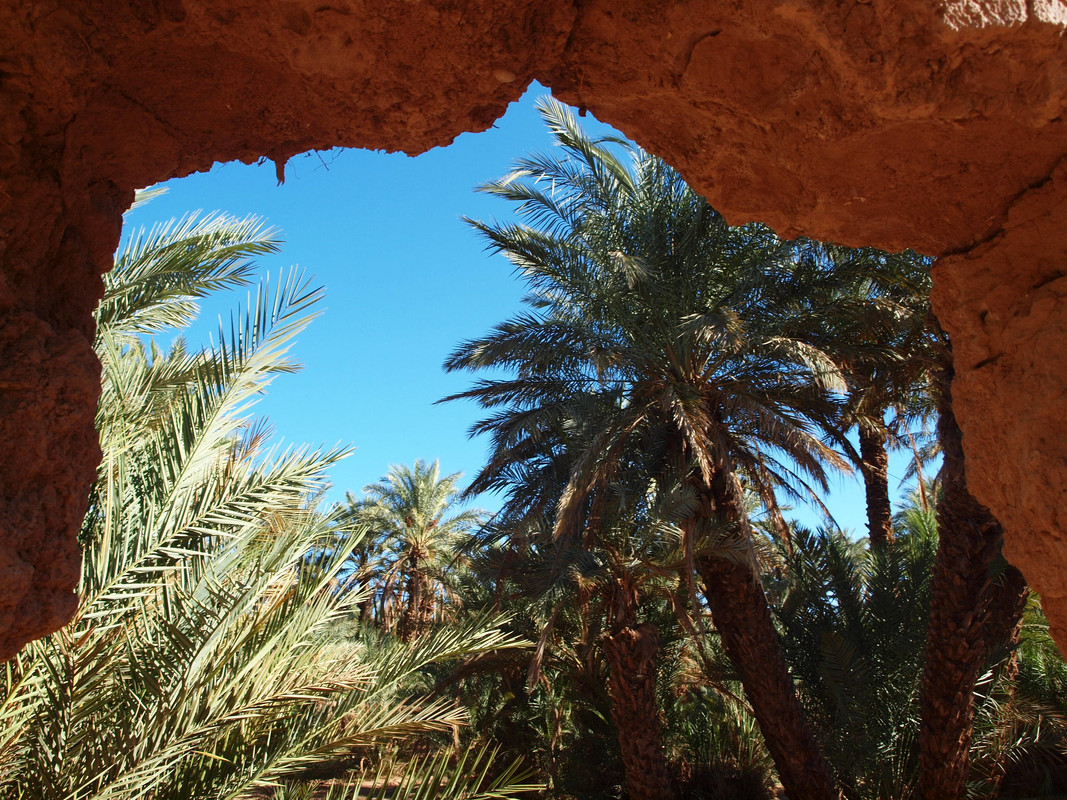 El palmeral de Ternata : Zagora y Tissergate - El Valle del Drâa, la gran arteria del sur de Marruecos (12)