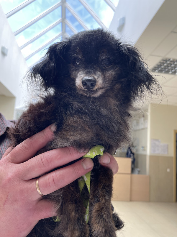 1E7E8EE3-EB1B-43E5-8599-93870FF18151