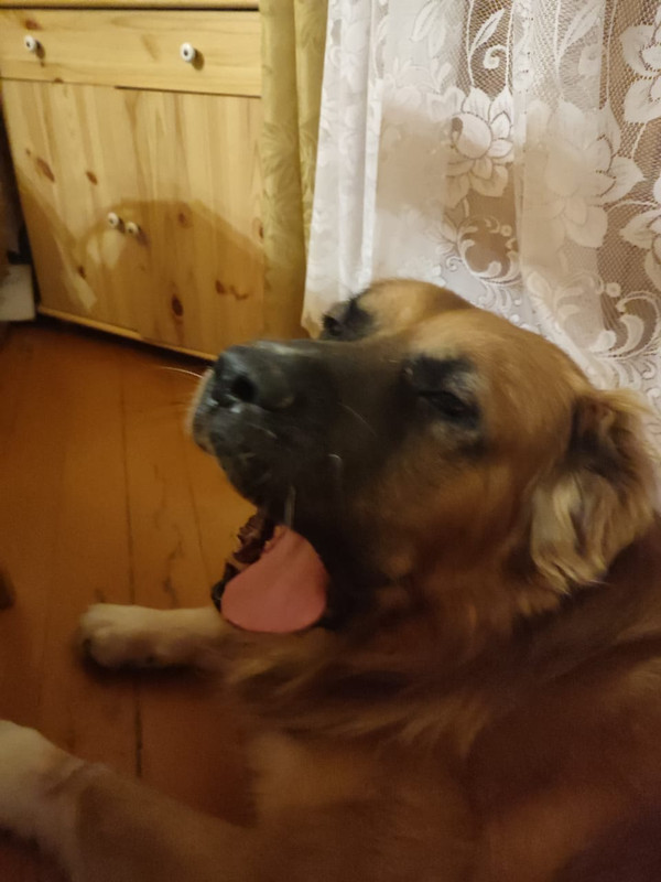 B6D995B6-9AFC-46C8-AA65-8C2A7A4885BB