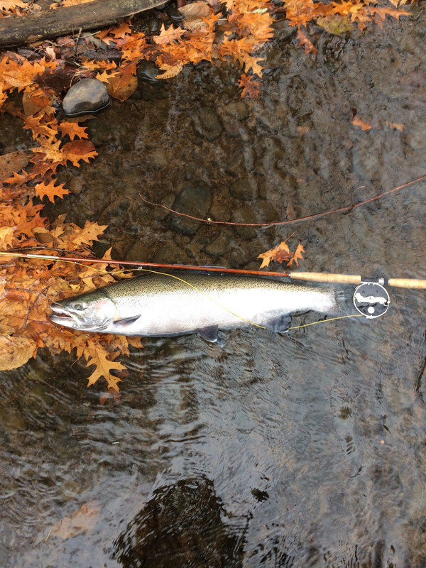 3CAD2BB7-2F75-4D68-A8D2-22B81B16986A