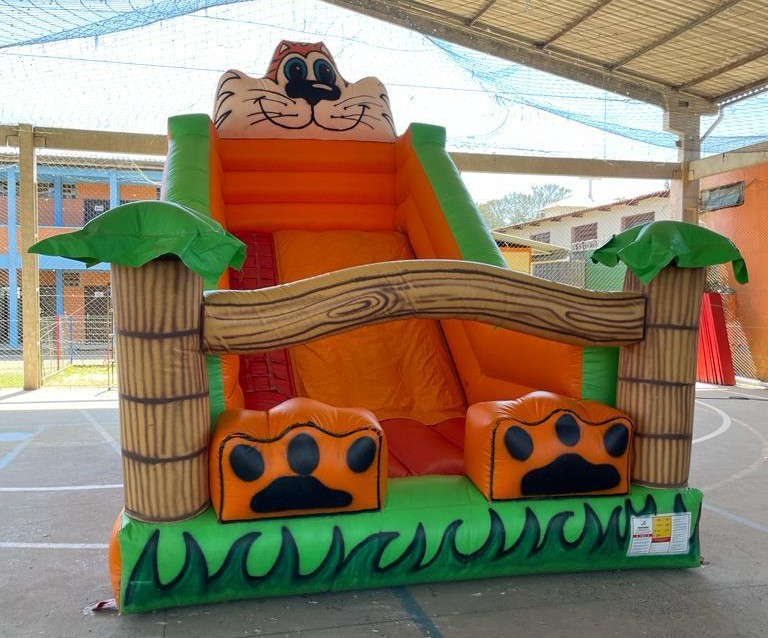 Tobogã Tradicional Tigre