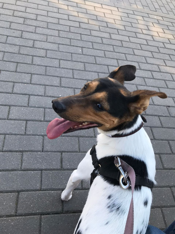 24F6BE63-AAA2-4BDB-8BD2-062B51408E4C