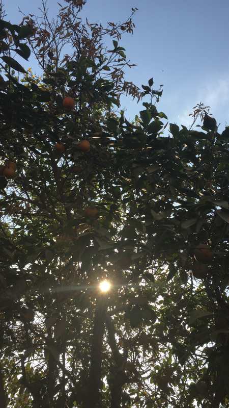 1F6B448A-C1AB-421B-AE64-1A5BD2B5B78A