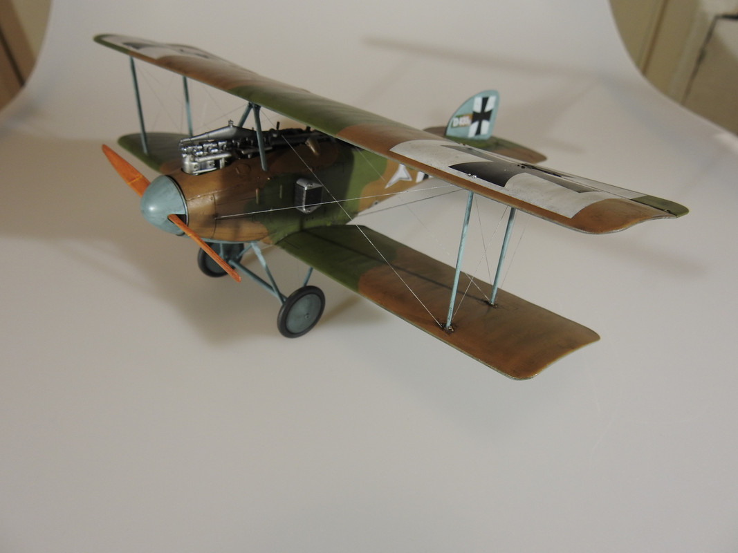 Albatross D.I - Roden 1/32 – Äntligen klar DSCN0807