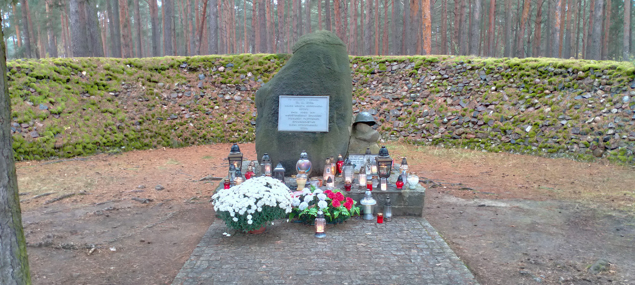 006 - IMG20201102141450