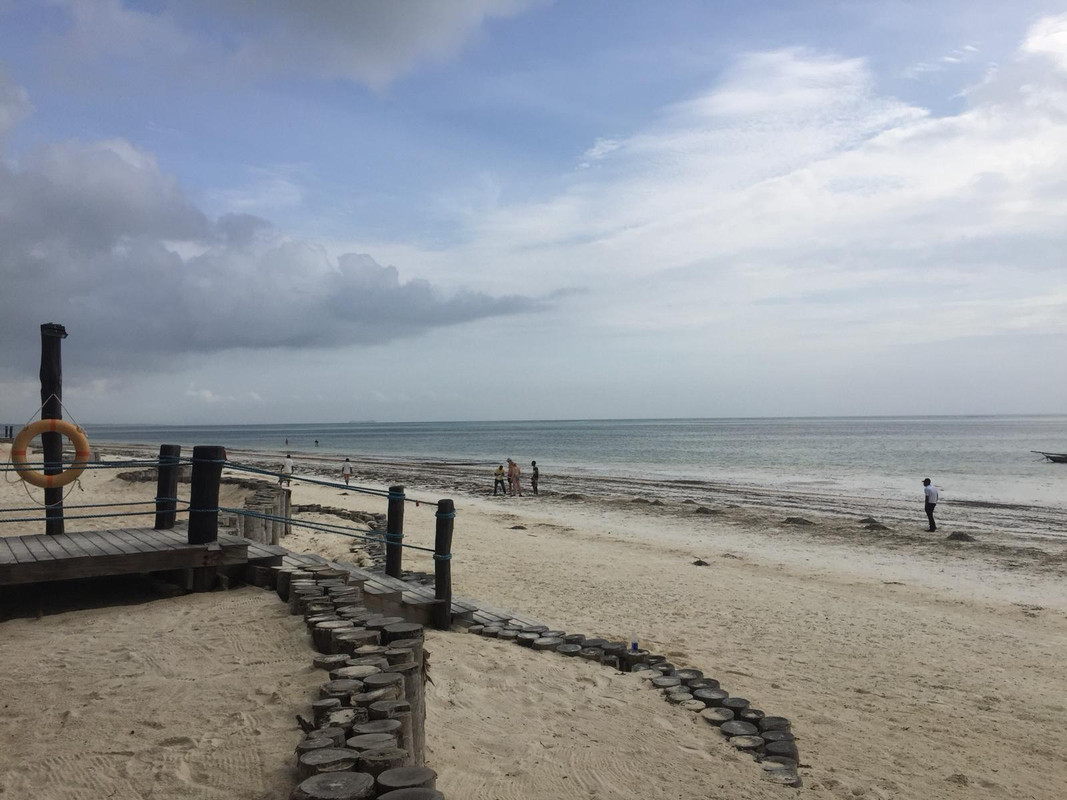 WhatsApp Image 2018-04-03 at 13.35.05(1)