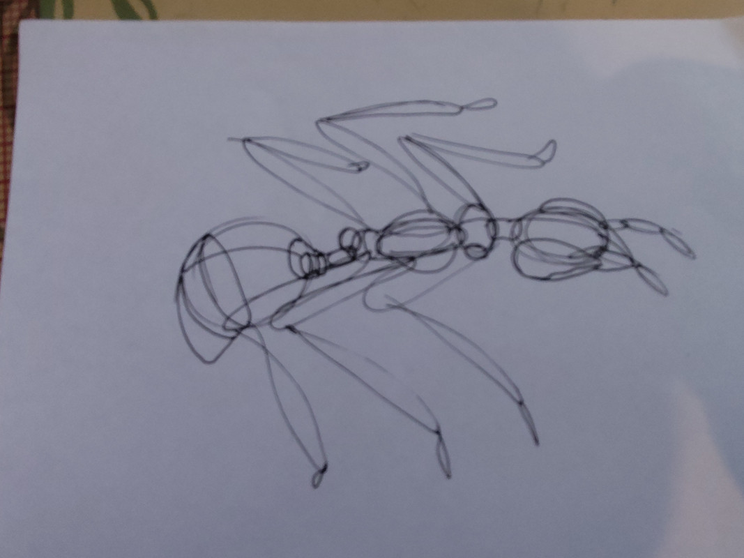 IMG_20240228_132315324