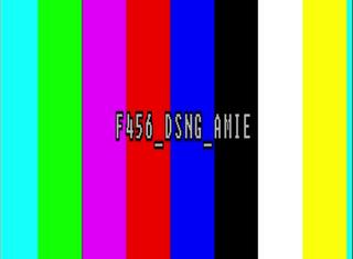 F456-DSNG-AMIE-COD120191031-175752.jpg