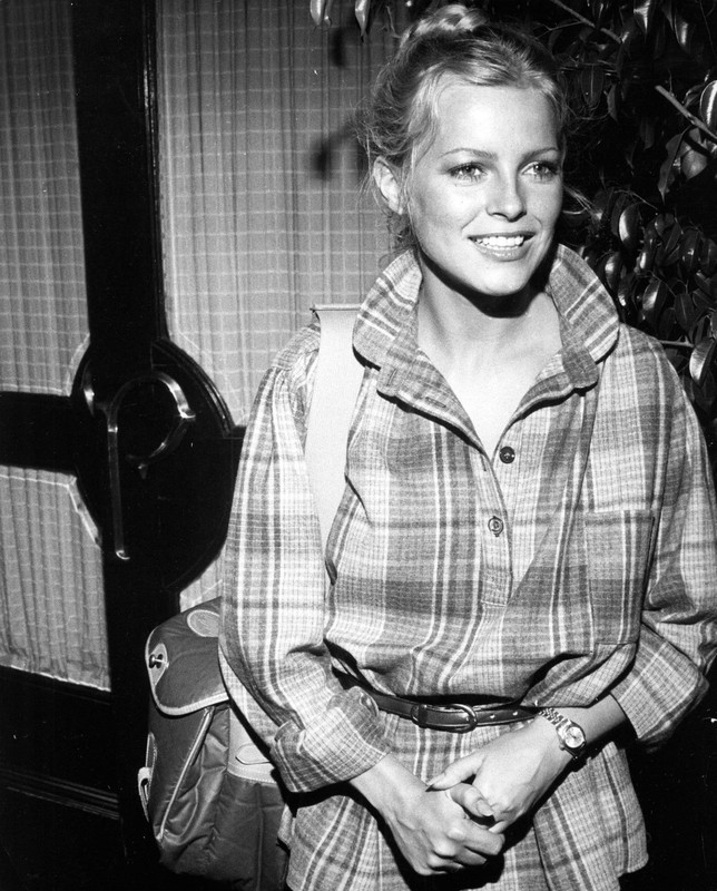 cheryl_ladd_d31