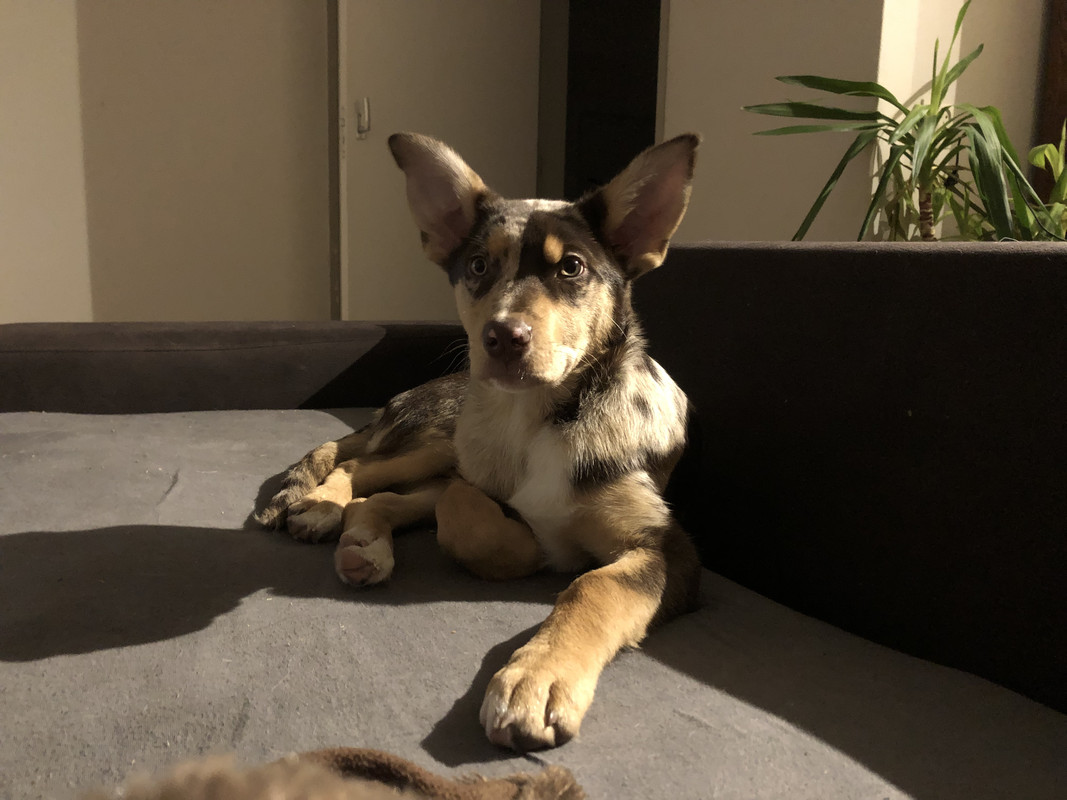 1793B8A7-167D-44CF-931F-9062576BF60F