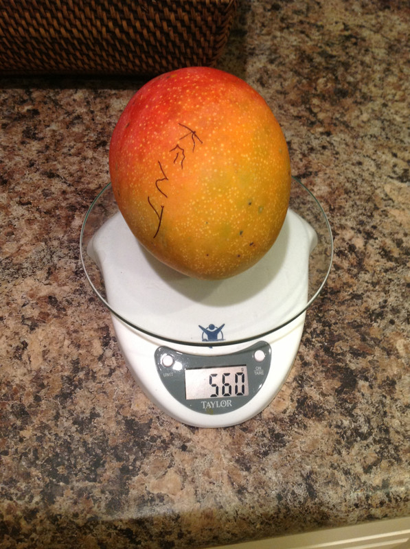 ce7505267dd35c8fc745def0d8ce5f1f