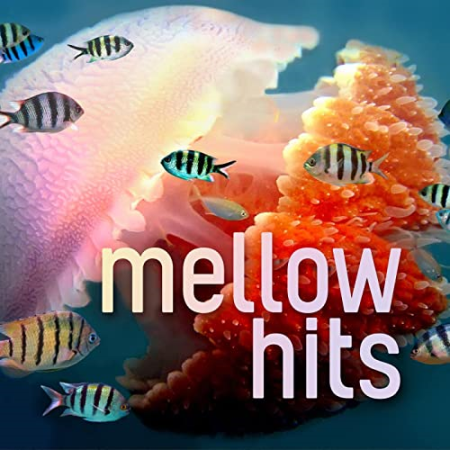 VA - Mellow Hits (2022)