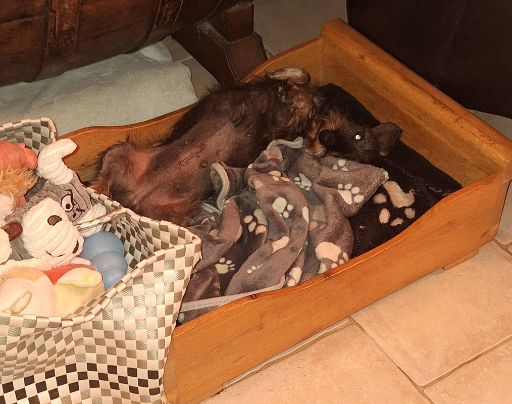 [Image: 20241027-181840.jpg]